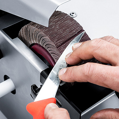 Lamellenschleifrad Lamellenschleifrad