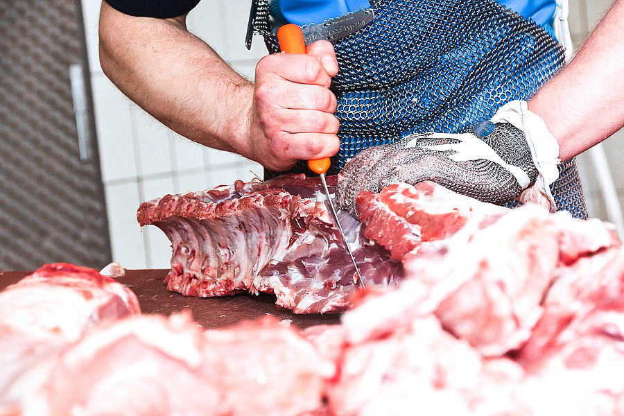 Nein zu MSE (Muskel-Skelett Erkrankung) Nein zu MSE (Muskel-Skelett Erkrankung)